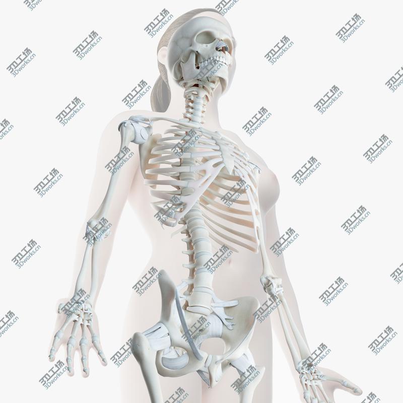 images/goods_img/202104092/3D Female Skin Skeleton Rigged model/1.jpg